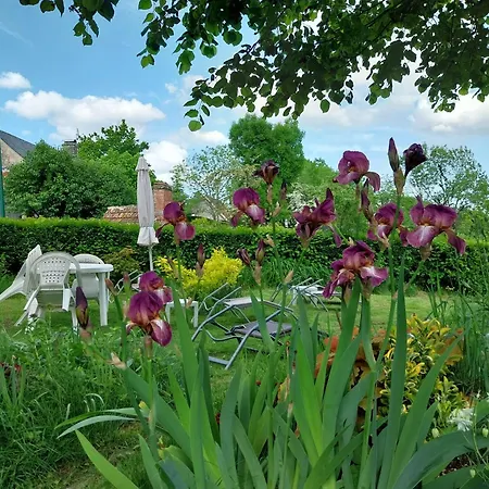 Vila 3 A Avec Piscine *