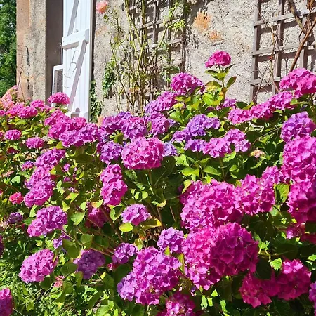 3 A Avec Piscine * Saint-Cirgues-de-Malbert