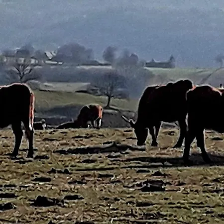 3 A Avec Piscine Saint-Cirgues-de-Malbert